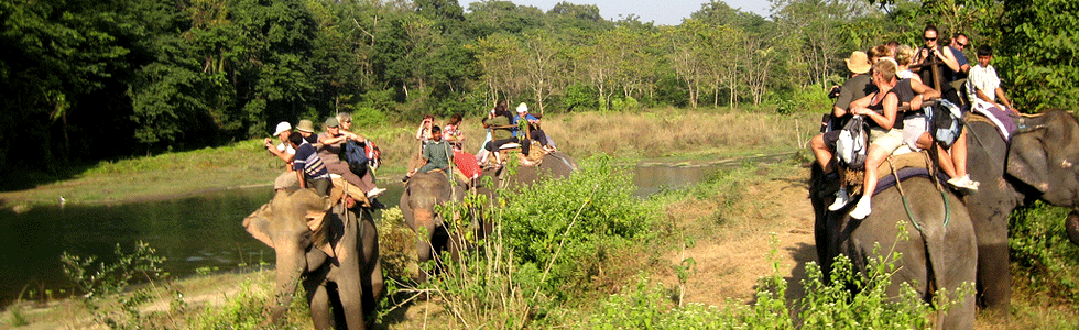 Jungle Safari Nepal
